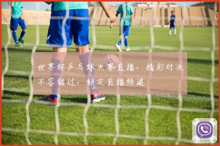 世界杯乒乓球决赛直播，精彩对决不容错过，锁定直播频道