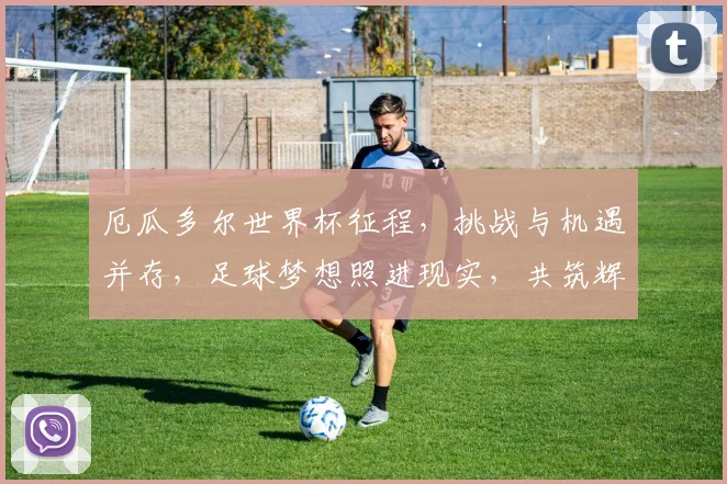 厄瓜多尔世界杯征程，挑战与机遇并存，足球梦想照进现实，共筑辉煌篇章。