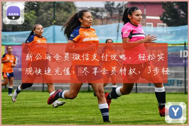 新公海会员微信支付攻略，轻松实现快速充值，尽享会员特权，3步轻松完成
