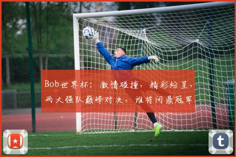 Bob世界杯：激情碰撞，精彩纷呈，两大强队巅峰对决，谁将问鼎冠军