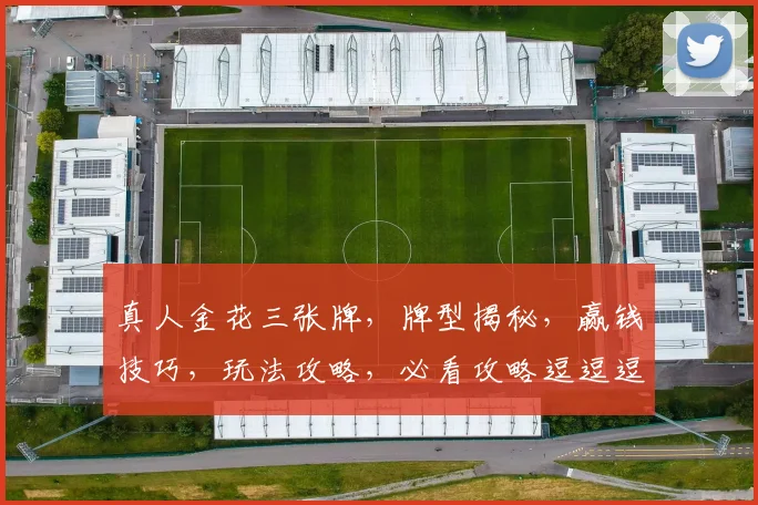 真人金花三张牌，牌型揭秘，赢钱技巧，玩法攻略，必看攻略逗逗逗